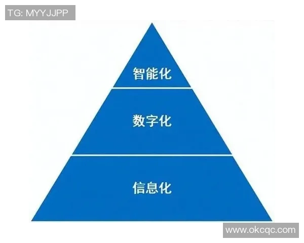 上海足球队转型之路的挑战与机遇全景解析