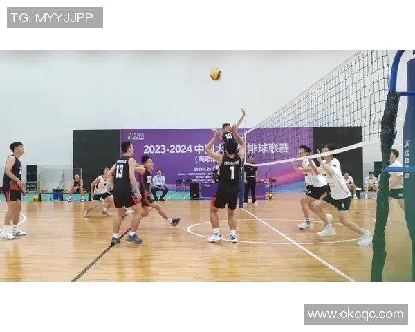 成都排球队与上海排球队赛后战术分析与复盘探讨