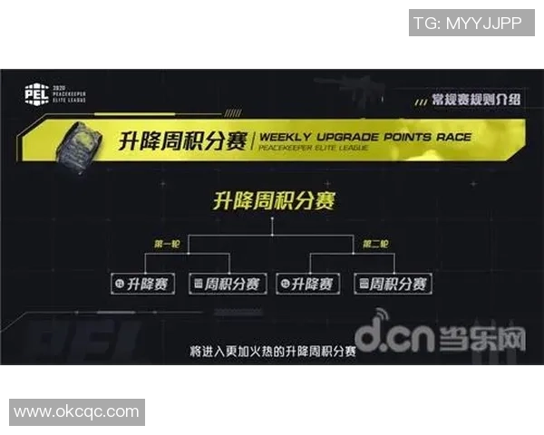 聚焦CSGO战队WE的默契配合与战术分析探讨